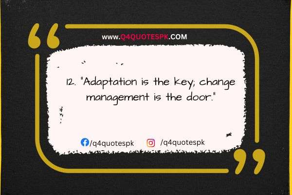 Adaptation is the key; change management is the door