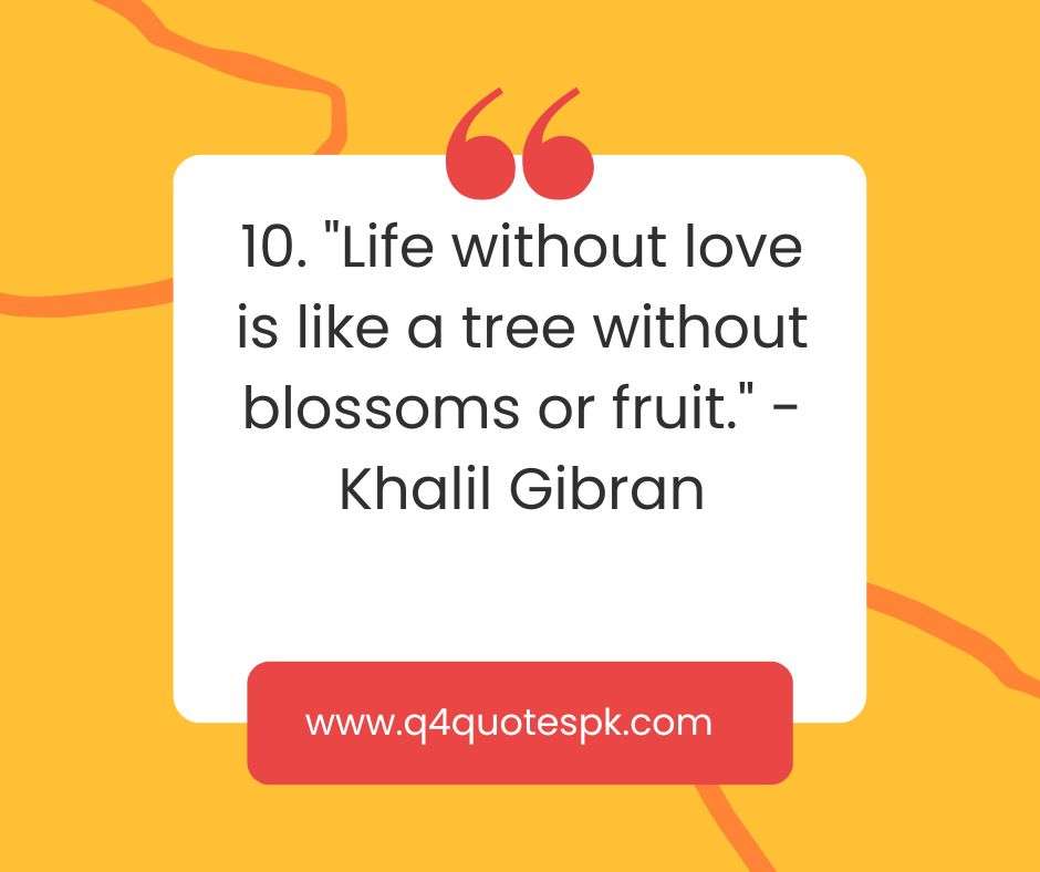 Quotes about life lesson and love