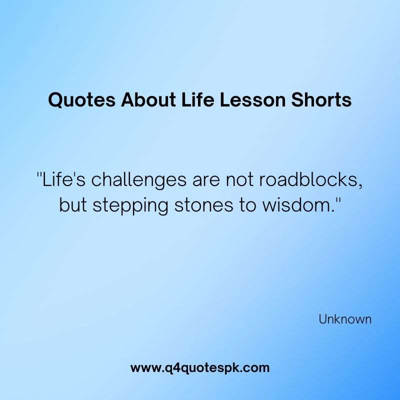 Quotes About Life Lesson Shorts (12)