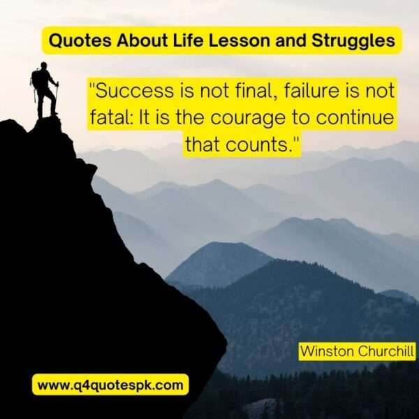 Quotes About Life Lesson and Struggles (15)