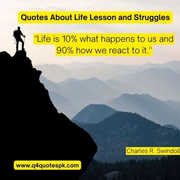 Quotes About Life Lesson and Struggles