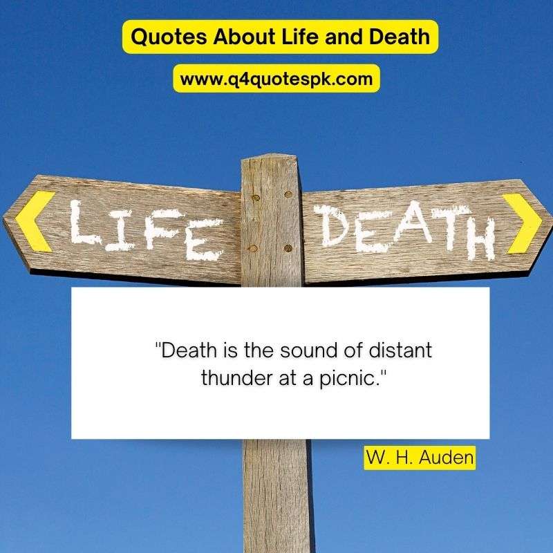 Quotes About Life and Death (11)