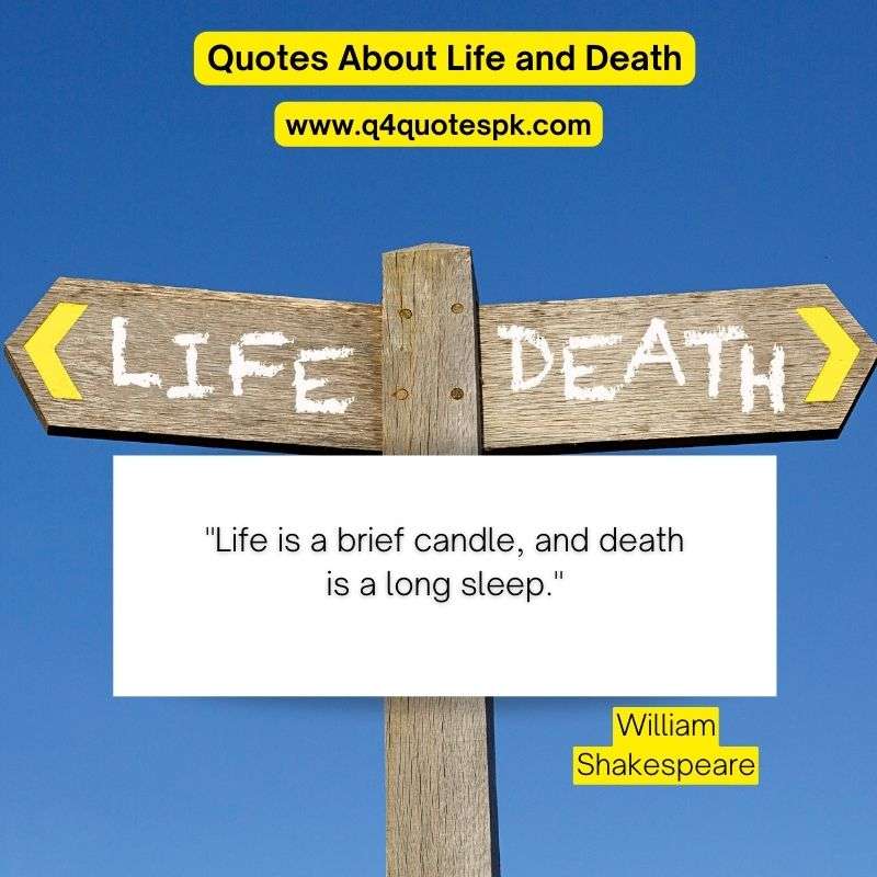 Quotes About Life and Death (13)