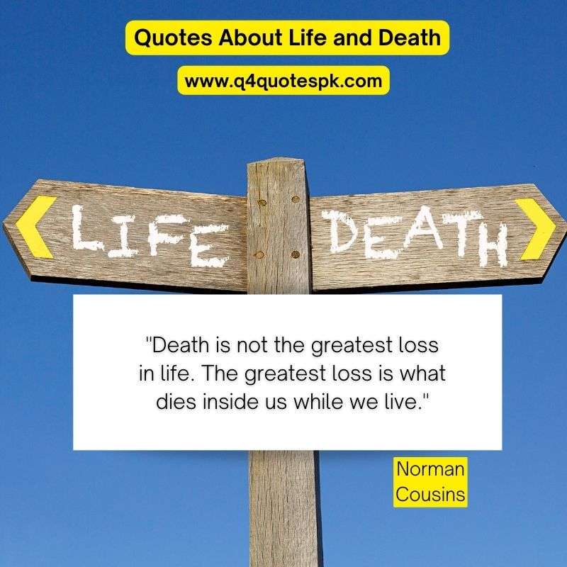 Quotes About Life and Death (14)