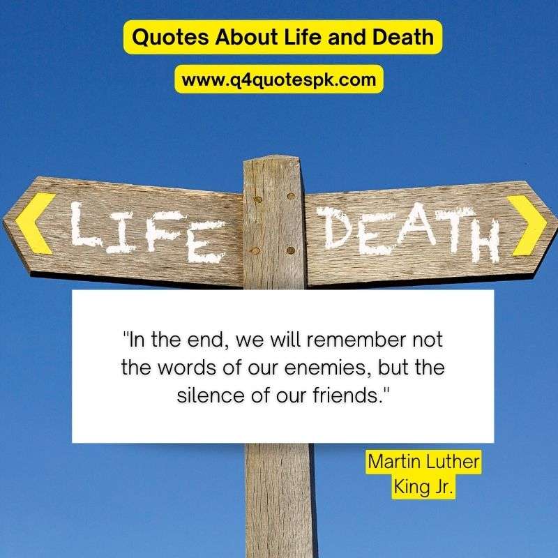 Quotes About Life and Death (15)