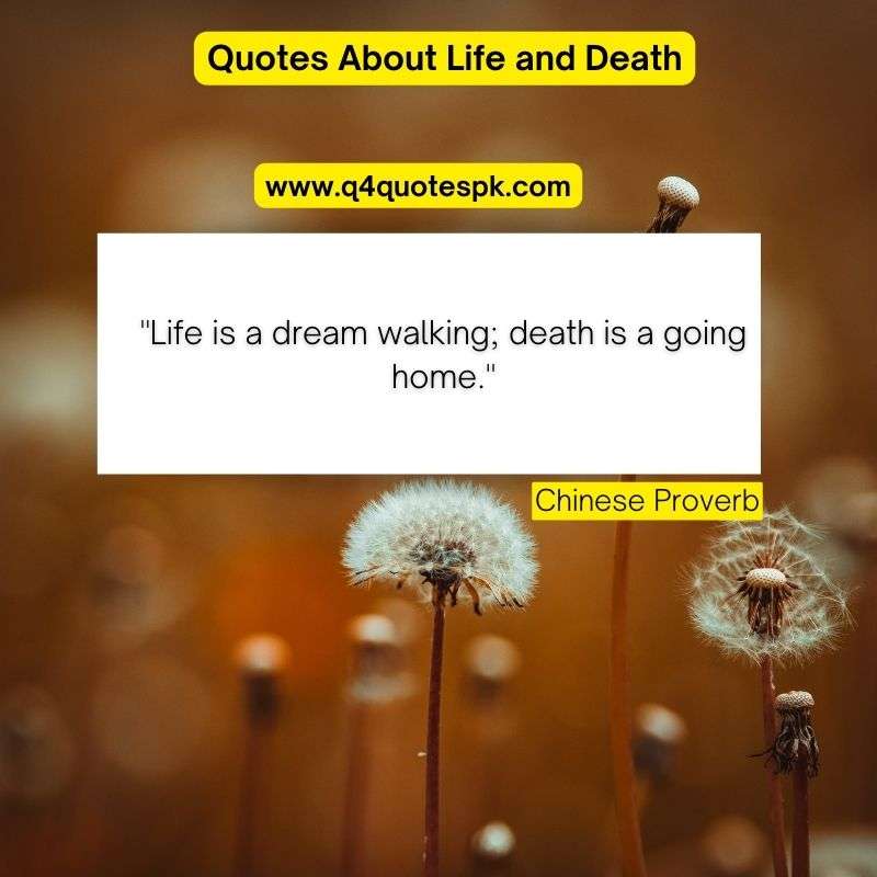 Quotes About Life and Death (4)