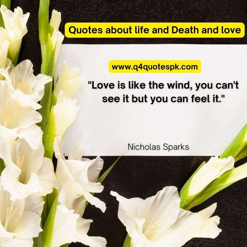Quotes about life and Death and love (17)
