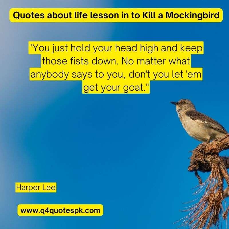 Quotes about life lesson in to Kill a Mockingbird (10)