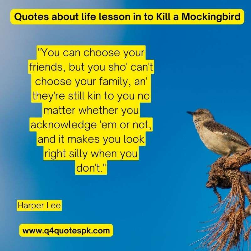 Quotes about life lesson in to Kill a Mockingbird (17)