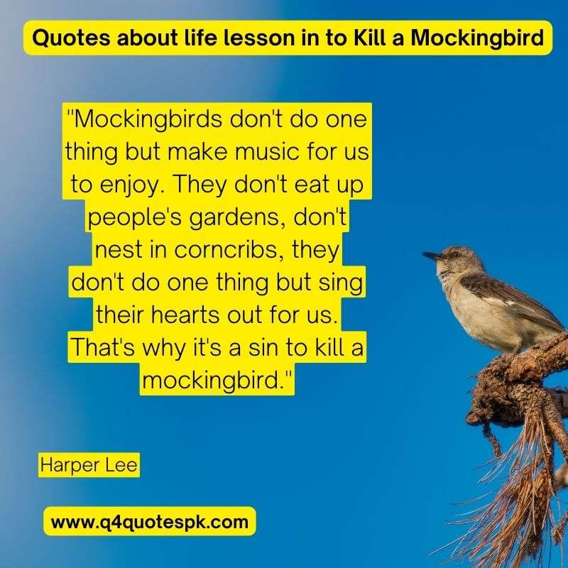 Quotes about life lesson in to Kill a Mockingbird (19)
