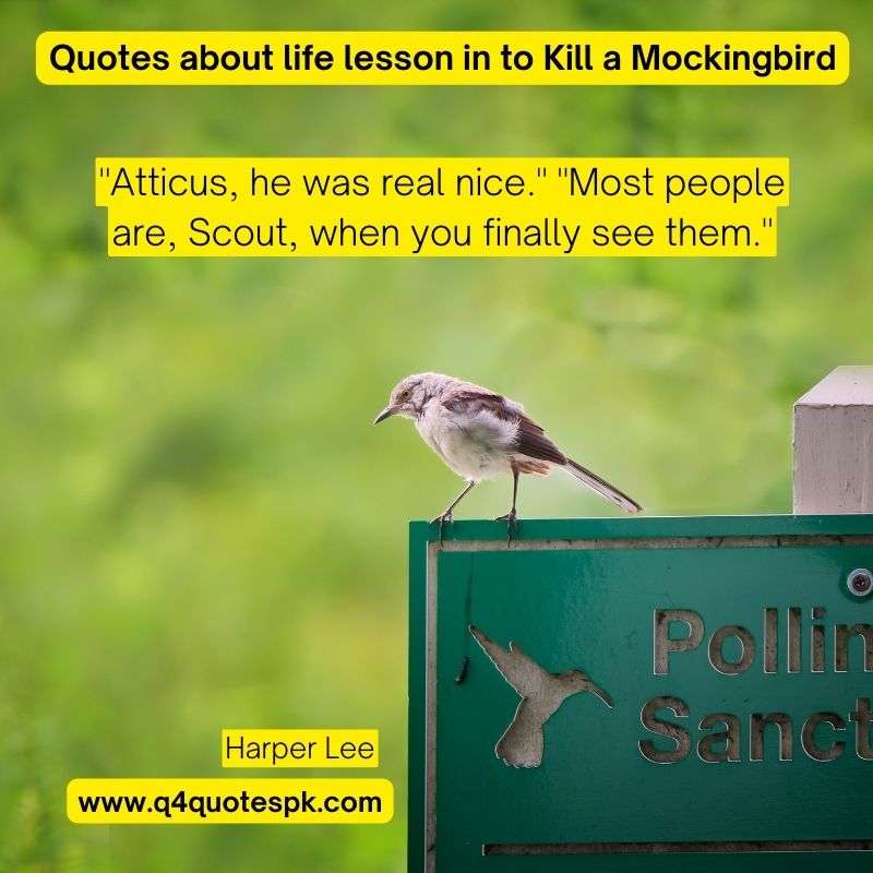 Quotes About Life Lesson in to kill a Mockingbird