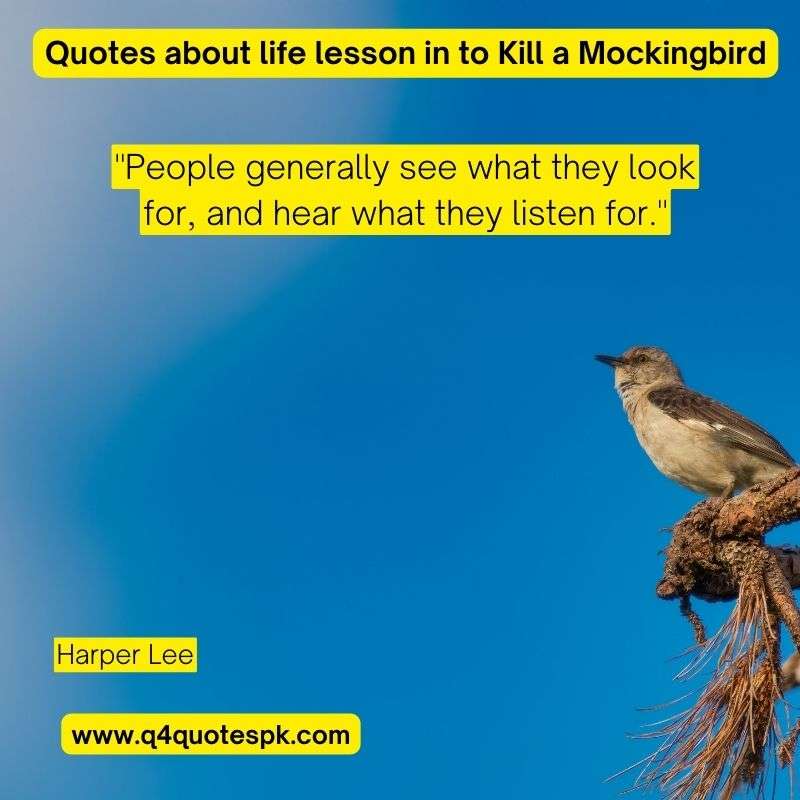 Quotes about life lesson in to Kill a Mockingbird (20)