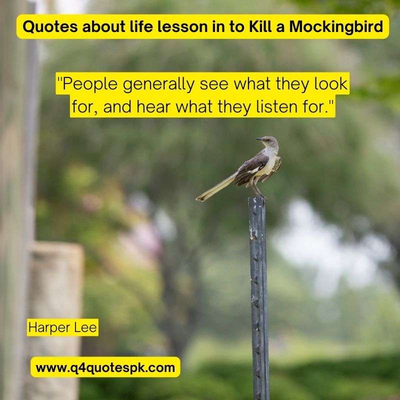 Quotes about life lesson in to Kill a Mockingbird (3)