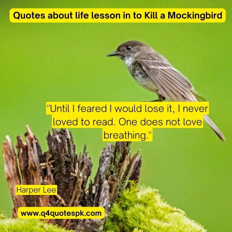 Quotes about life lesson in to Kill a Mockingbird (4)
