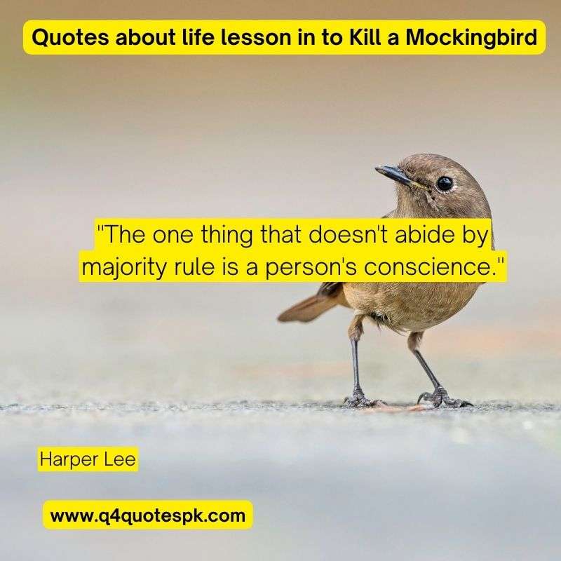 Quotes about life lesson in to Kill a Mockingbird (5)