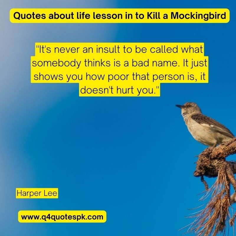Quotes about life lesson in to Kill a Mockingbird (7)