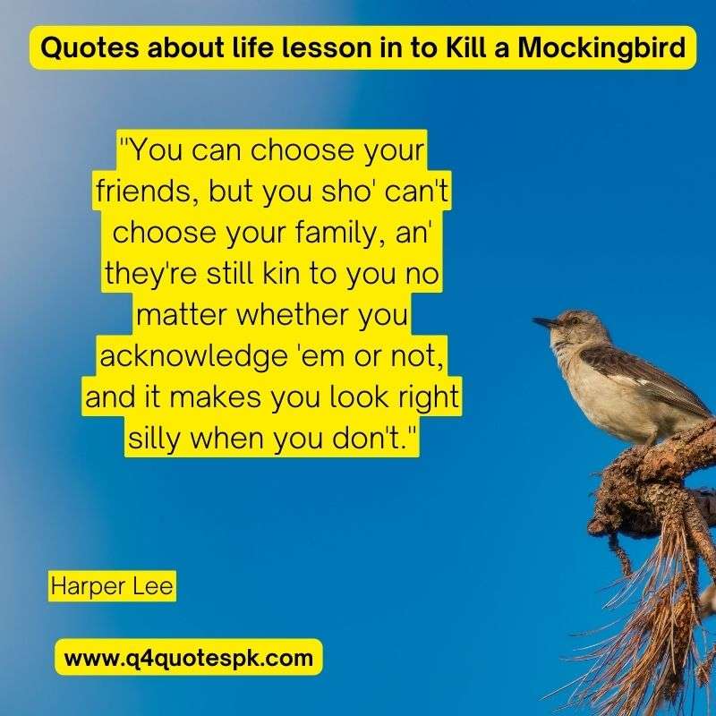Quotes about life lesson in to Kill a Mockingbird (8)