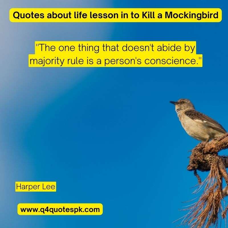 Quotes about life lesson in to Kill a Mockingbird (9)