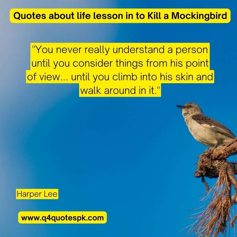 Quotes about life lesson in to Kill a Mockingbird